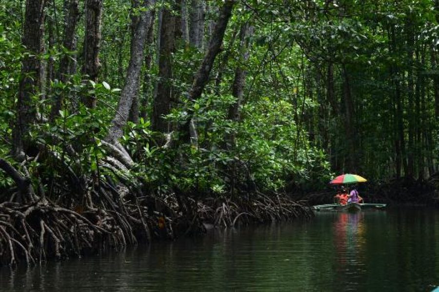 UNDERGROUND RIVER TOUR-OFF TOWN 2- PREMIUM
